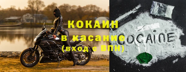 дживик Богданович