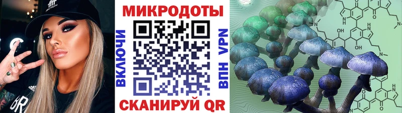 Галлюциногенные грибы Psilocybine cubensis  Вязники 