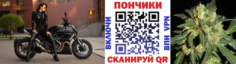 Бошки Шишки Amnesia  Вязники 